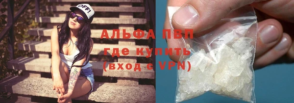 прущие грибы Коряжма