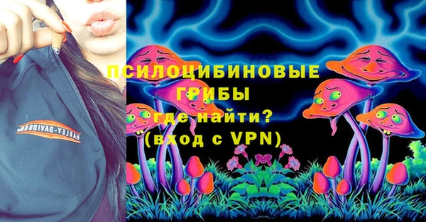 гидра Корсаков
