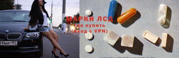 гидра Корсаков