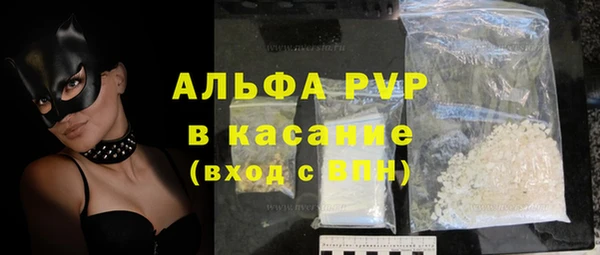 гидра Корсаков