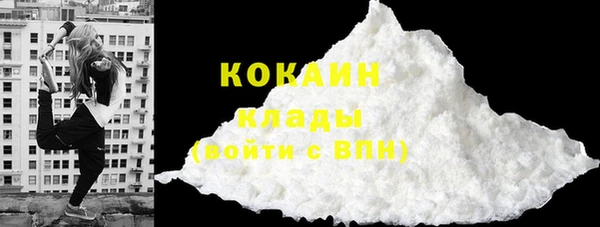 прущие грибы Коряжма