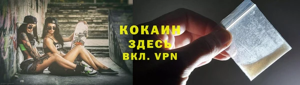 прущие грибы Коряжма