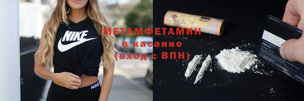 прущие грибы Коряжма