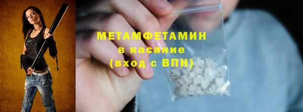 прущие грибы Коряжма