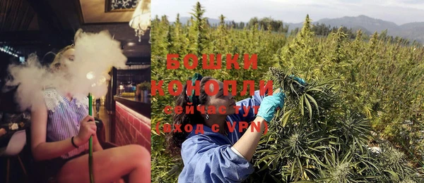 гидра Корсаков