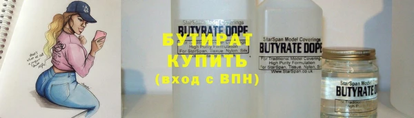 прущие грибы Коряжма