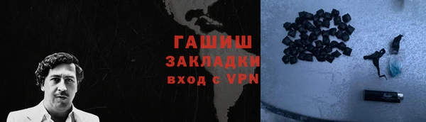 прущие грибы Коряжма