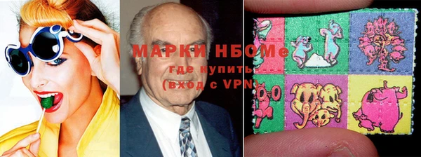 прущие грибы Коряжма