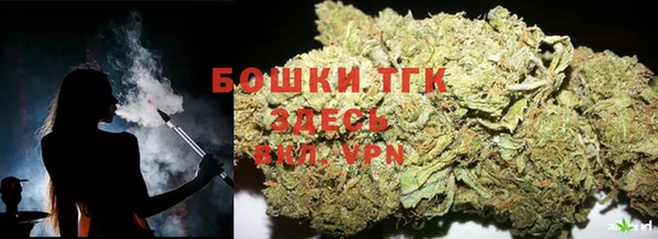 прущие грибы Коряжма
