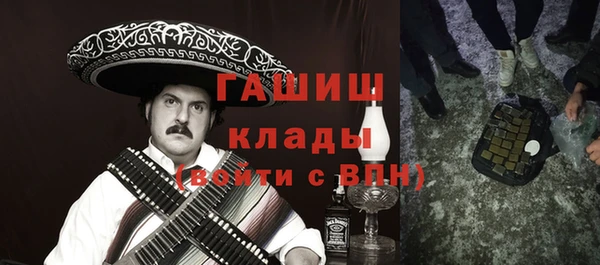 гидра Корсаков