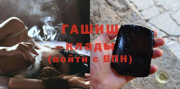 прущие грибы Коряжма