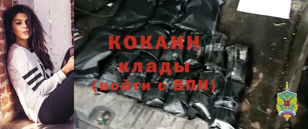 гидра Корсаков