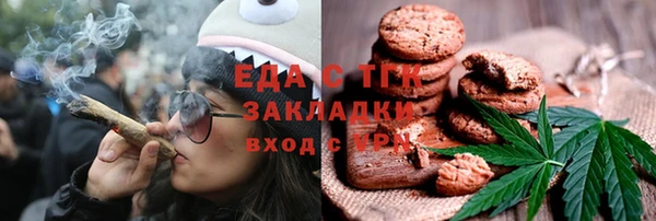 гидра Корсаков
